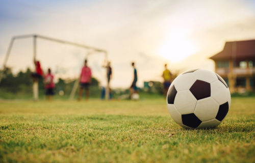 pro move - Bewegung und Sport