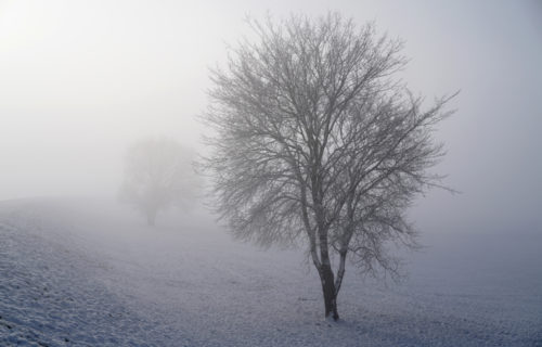 Gegen das Grau im Alltag – Herbst-Winterdepression bekämpfen