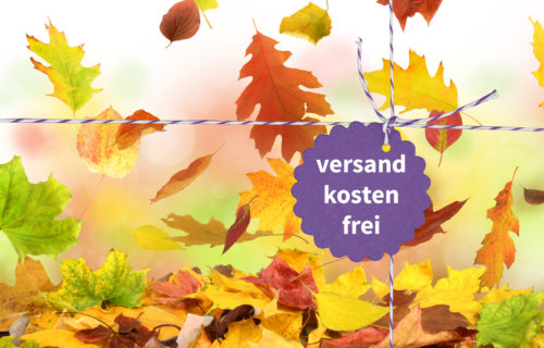 Online-Shop – Versandkostenfreier Oktober!