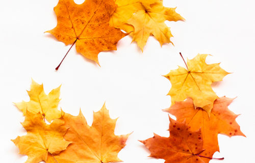 Re-Use-Herbst Steiermark – wir sind wieder dabei